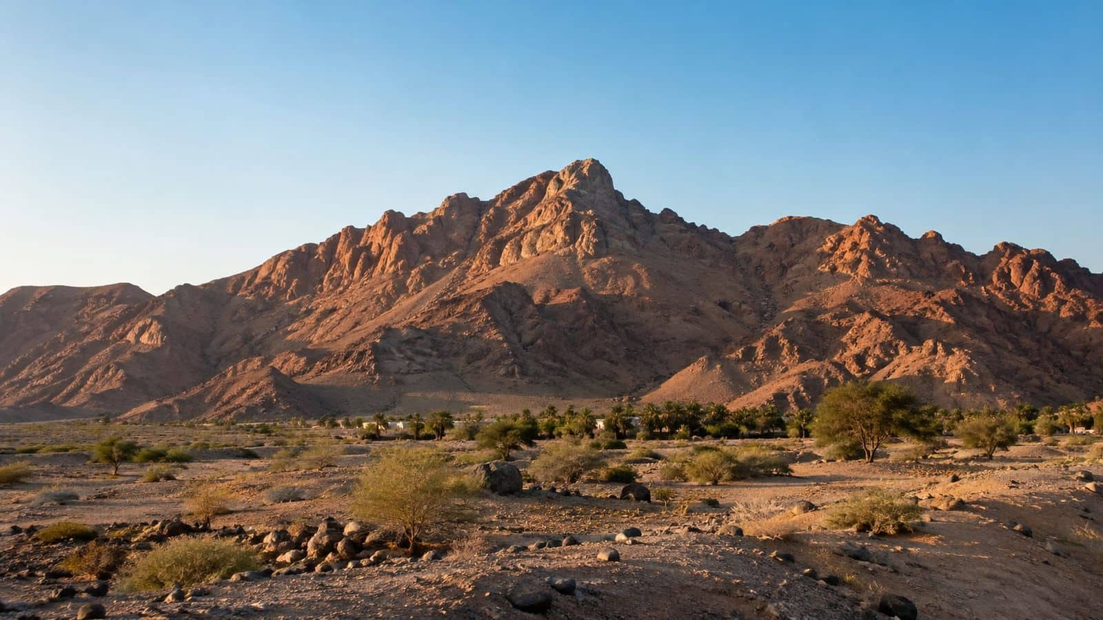Medine kuzeyinde kızıl kayalık Uhud Dağı ve önündeki düzlük